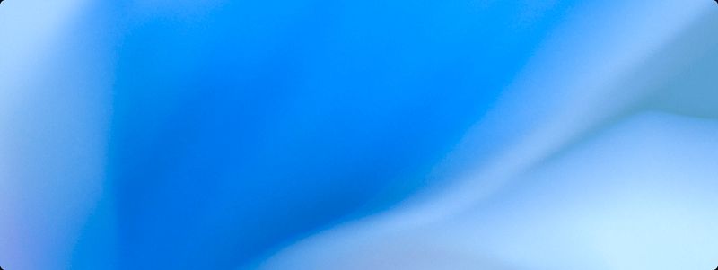 Codex app for Windows