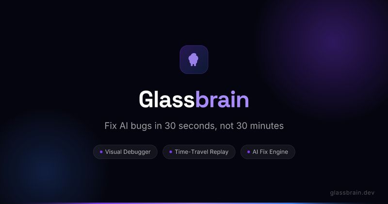 Glassbrain