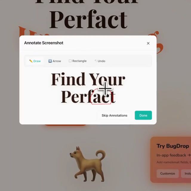 BugDrop