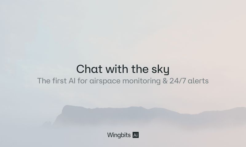 Wingbits AI