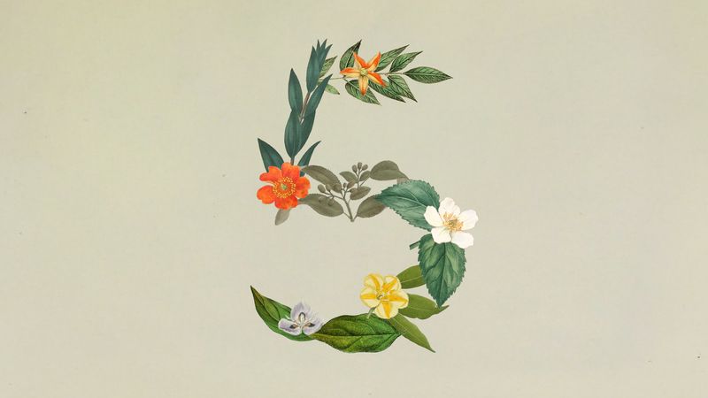 Claude Sonnet 5