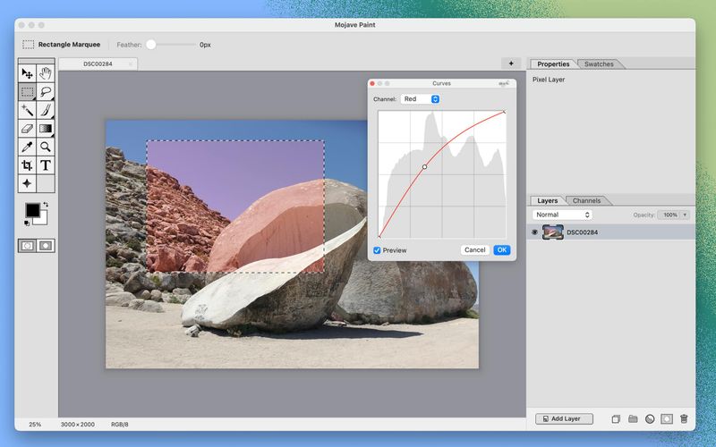 Mojave Paint